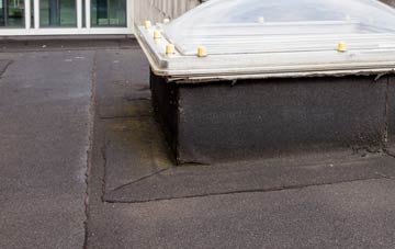 disadvantages of Putley Common flat roofs
